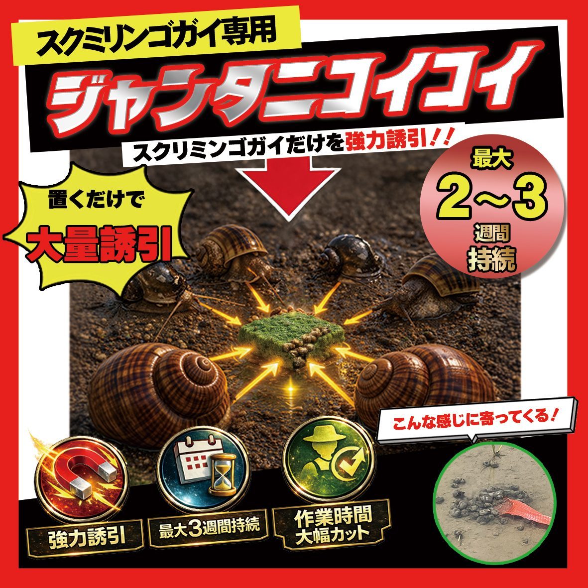 ジャンタニコイコイ 製品